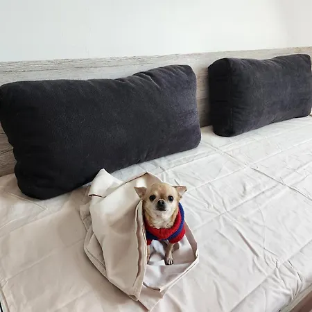 Orsi Apartman Appartamento Szeged